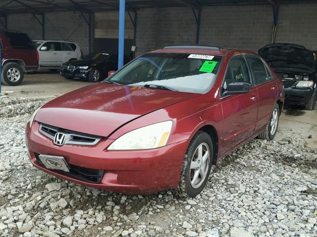 1HGCM56765A158154 - 2005 HONDA ACCORD BURGUNDY photo 2