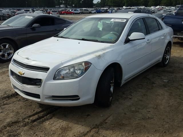 1G1ZC5EBXAF145219 - 2010 CHEVROLET MALIBU 1LT თეთრი ფოტო 2