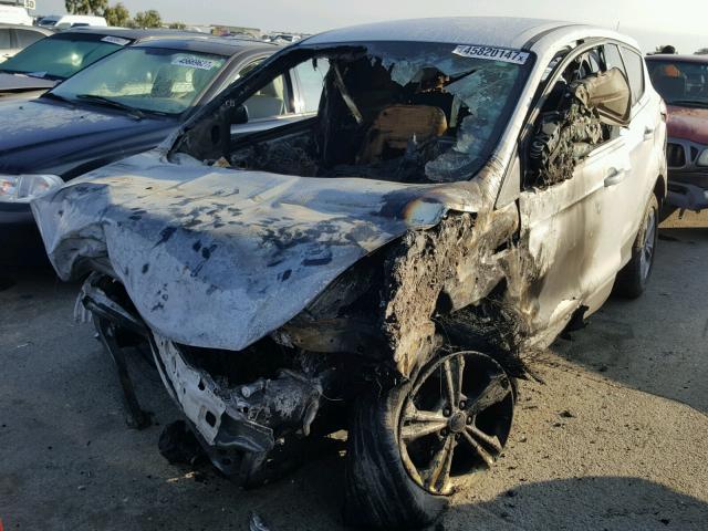 1FMCU9G9XFUA09764 - 2015 FORD ESCAPE WHITE photo 2