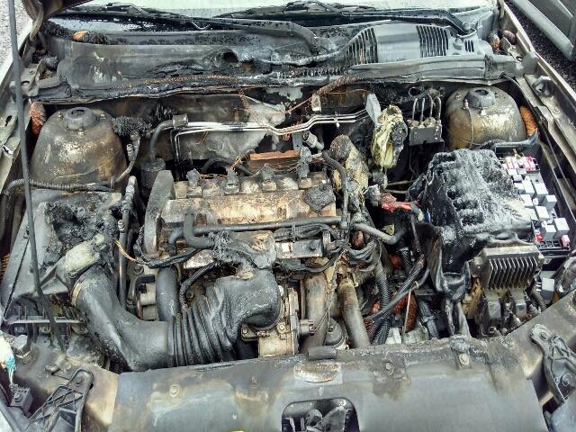 1G1ZS58F57F123445 - 2007 CHEVROLET MALIBU LS თაფლისფერი ფოტო 7