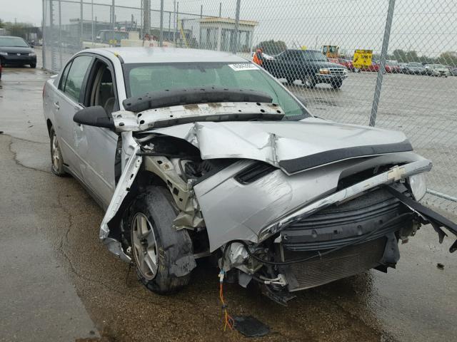 1G1ZT54815F215766 - 2005 CHEVROLET MALIBU LS SILVER photo 1