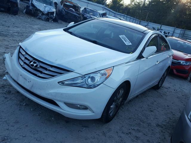 5NPEC4ACXDH526237 - 2013 HYUNDAI SONATA SE WHITE photo 2