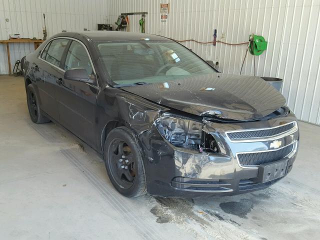 1G1ZB5E08CF302427 - 2012 CHEVROLET MALIBU LS ტურკოუსი ფოტო 1