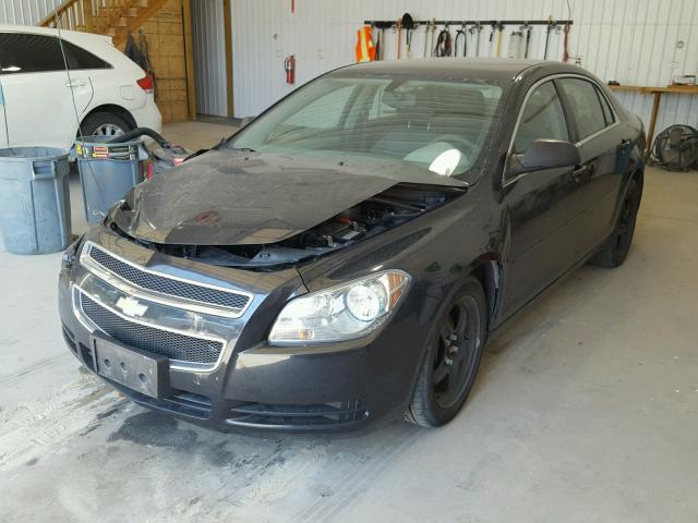 1G1ZB5E08CF302427 - 2012 CHEVROLET MALIBU LS ტურკოუსი ფოტო 2