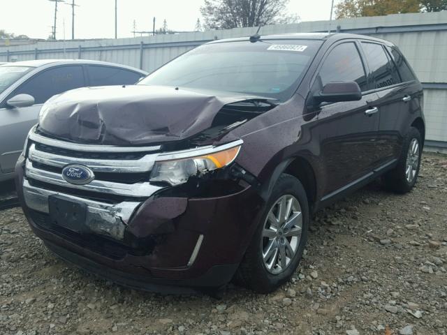 2FMDK3JC3BBB20071 - 2011 FORD EDGE SEL BURGUNDY photo 2