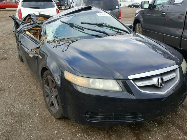 19UUA65674A025784 - 2004 ACURA TL BLACK photo 1