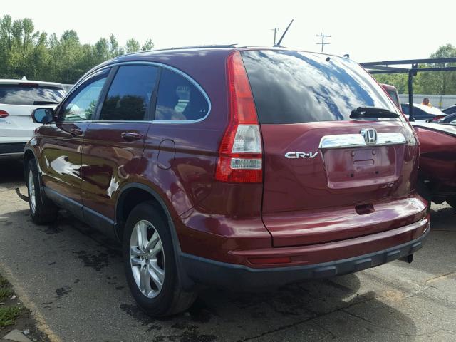 5J6RE3H71AL049925 - 2010 HONDA CR-V EXL BURGUNDY photo 3