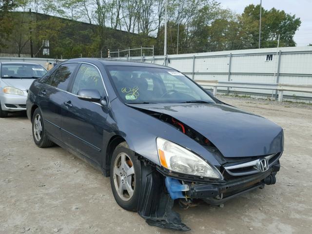 JHMCN36487C000653 - 2007 HONDA ACCORD GRAY photo 1