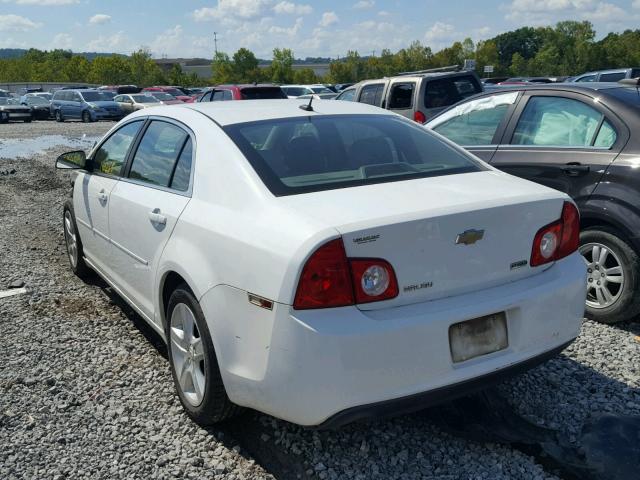 1G1ZA5EU1BF155811 - 2011 CHEVROLET MALIBU LS 白色 照片 3
