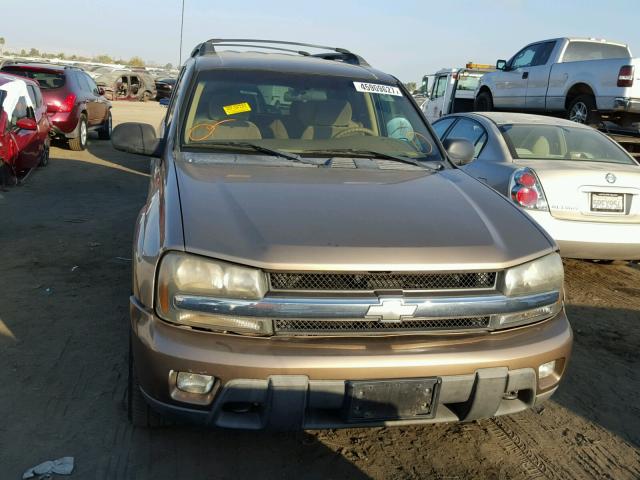 1GNET16S432165741 - 2003 CHEVROLET TRAILBLAZE GOLD photo 9