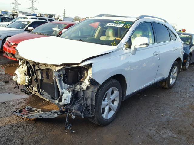 2T2BK1BA8AC046564 - 2010 LEXUS RX 350 WHITE photo 2