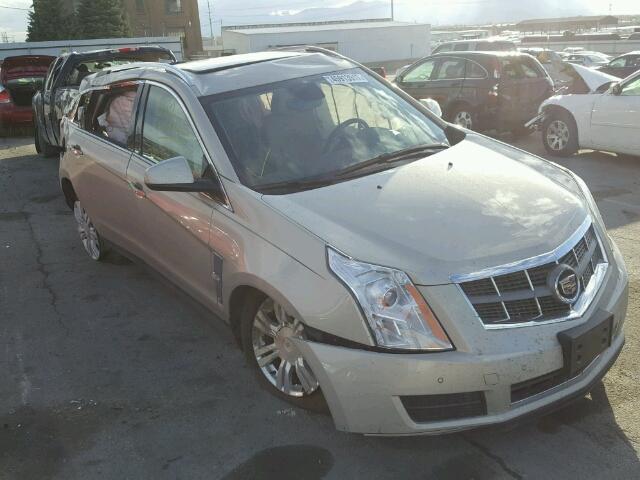 3GYFNAEY4BS570265 - 2011 CADILLAC SRX LUXURY GOLD photo 1