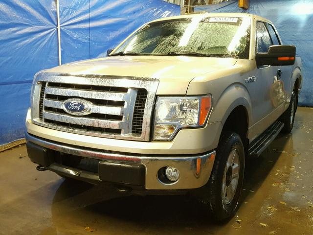 1FTFX1EV5AFC34584 - 2010 FORD F150 SUPER TAN photo 2