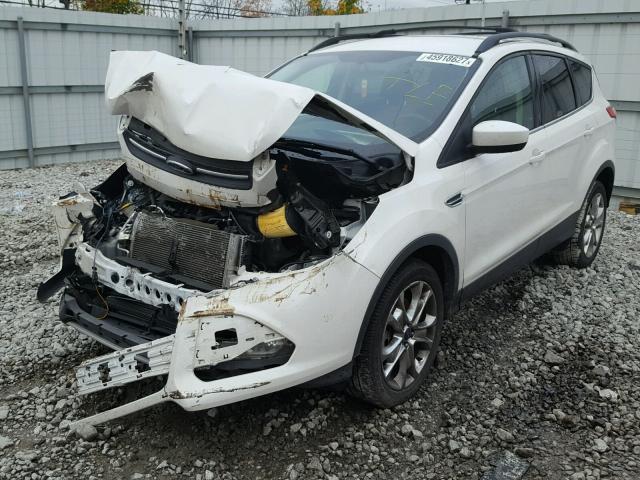 1FMCU9GX8EUC03819 - 2014 FORD ESCAPE SE WHITE photo 2