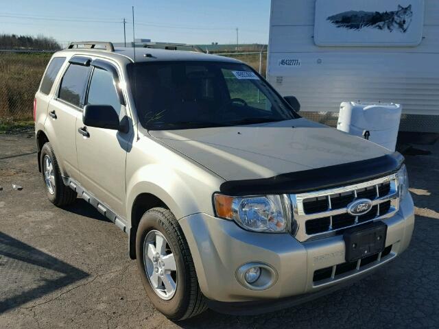 1FMCU9DG8BKB31175 - 2011 FORD ESCAPE XLT BEIGE photo 1