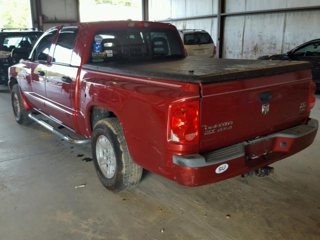 1D7HW48P47S190108 - 2007 DODGE DAKOTA RED photo 3