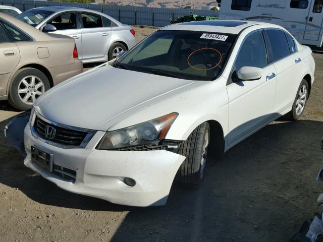 1HGCP36858A000462 - 2008 HONDA ACCORD EXL WHITE photo 2