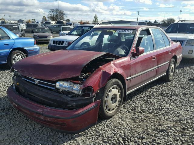 JHMCB7674NC041966 - 1992 HONDA ACCORD EX MAROON photo 2