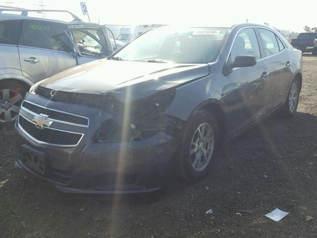 1G11A5SAXDF316456 - 2013 CHEVROLET MALIBU LS Boz foto 2