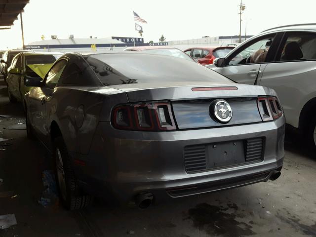 1ZVBP8AM6E5242691 - 2014 FORD MUSTANG GRAY photo 3