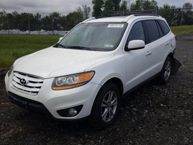 5NMSK4AG2AH401590 - 2010 HYUNDAI SANTA FE L WHITE photo 2