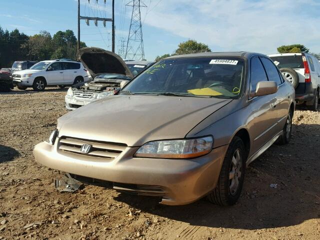 1HGCG56611A093433 - 2001 HONDA ACCORD EX GOLD photo 2