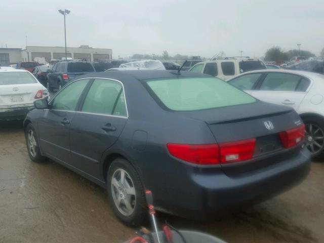 JHMCN36495C011898 - 2005 HONDA ACCORD BLUE photo 3