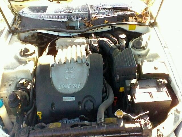 KNAGD128635215561 - 2003 KIA OPTIMA LX WHITE photo 7