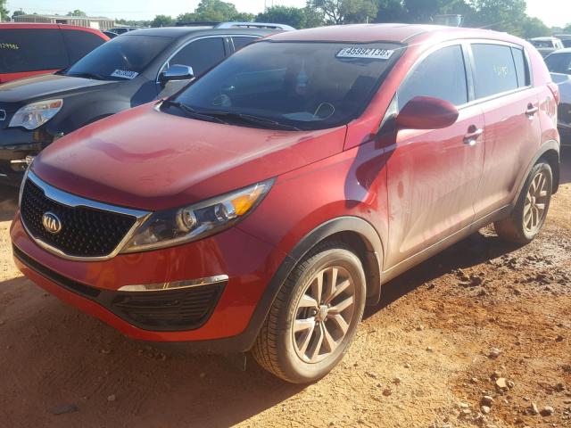 KNDPB3AC8E7639874 - 2014 KIA SPORTAGE B MAROON photo 2