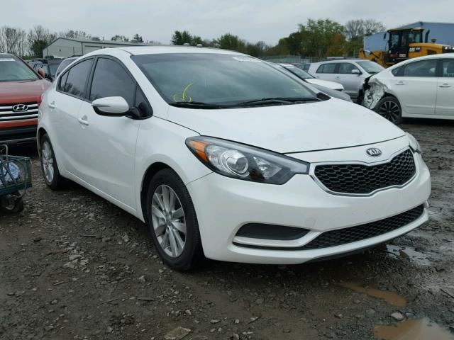 KNAFX4A62F5333938 - 2015 KIA FORTE LX WHITE photo 1