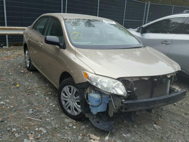 2T1BU4EE9AC260557 - 2010 TOYOTA COROLLA BA TAN photo 1