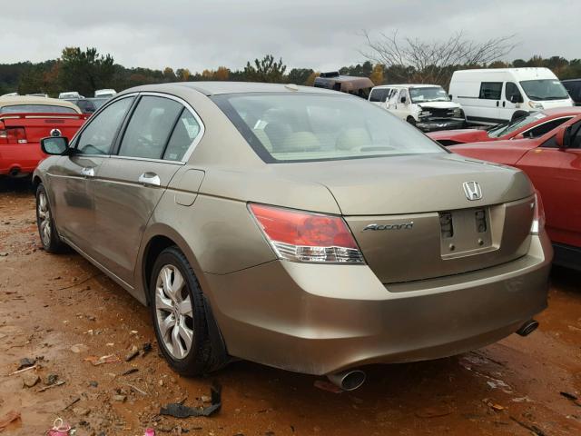 1HGCP36868A004813 - 2008 HONDA ACCORD EXL GOLD photo 3