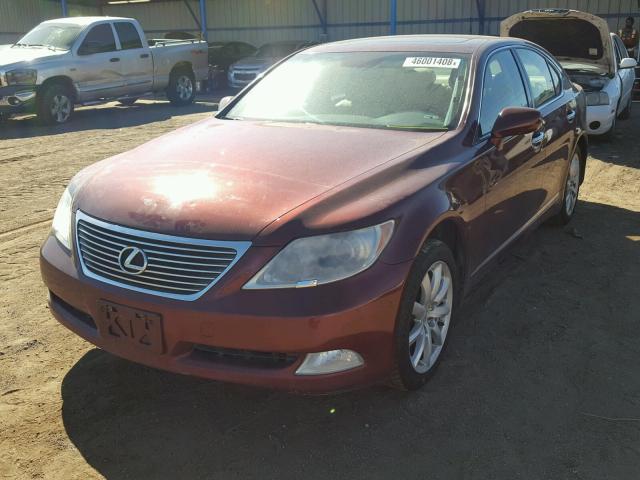 JTHCL46FX95002392 - 2009 LEXUS LS 460 MAROON photo 2