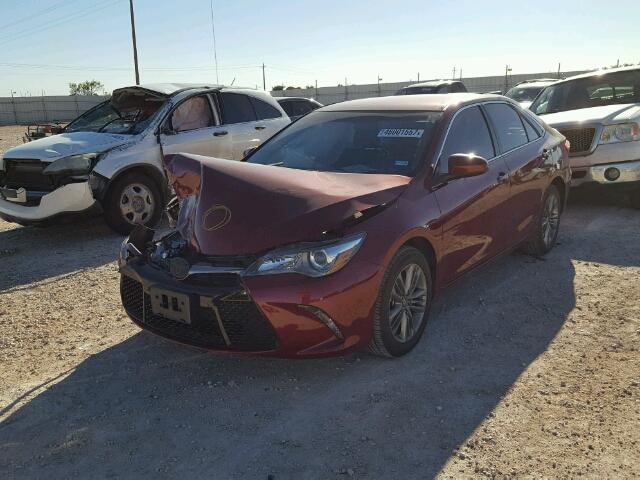 4T1BF1FK7GU603791 - 2016 TOYOTA CAMRY LE BURGUNDY photo 2