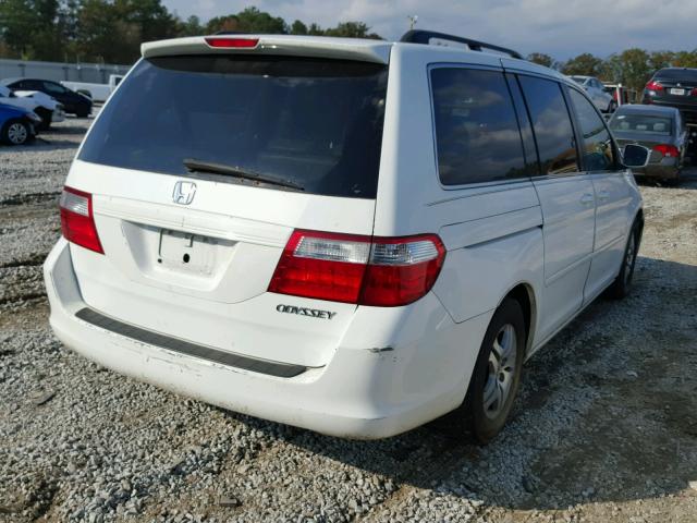 5FNRL38675B021641 - 2005 HONDA ODYSSEY WHITE photo 4