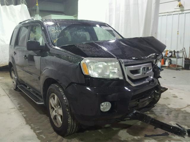 5FNYF4H78BB004456 - 2011 HONDA PILOT EXLN BLACK photo 1