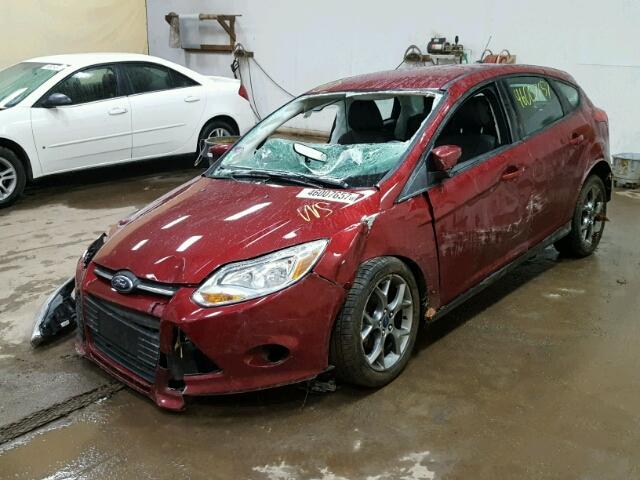 1FADP3K24EL389699 - 2014 FORD FOCUS SE RED photo 2