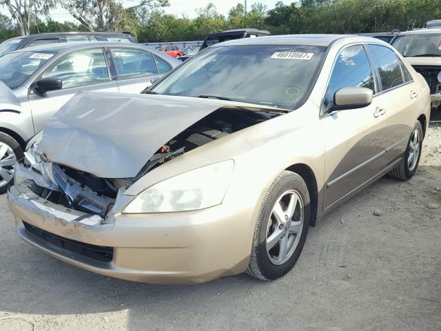 1HGCM56603A135179 - 2003 HONDA ACCORD EX GOLD photo 2