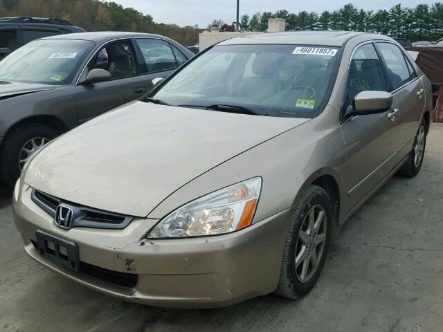 1HGCM66584A061203 - 2004 HONDA ACCORD EX GOLD photo 2