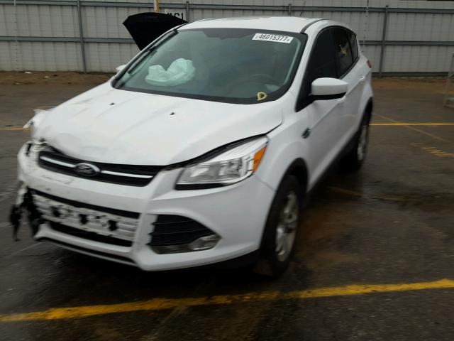 1FMCU0GX1EUD22047 - 2014 FORD ESCAPE SE WHITE photo 2