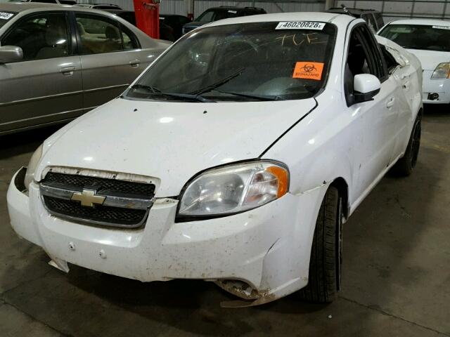 KL1TD5DE0AB123766 - 2010 CHEVROLET AVEO LS WHITE photo 2