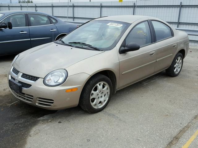 1B3ES56CX3D171769 - 2003 DODGE NEON SXT GOLD photo 2