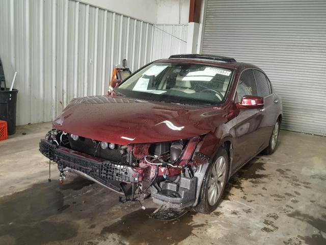 1HGCR2F82EA082635 - 2014 HONDA ACCORD EXL BURGUNDY photo 2