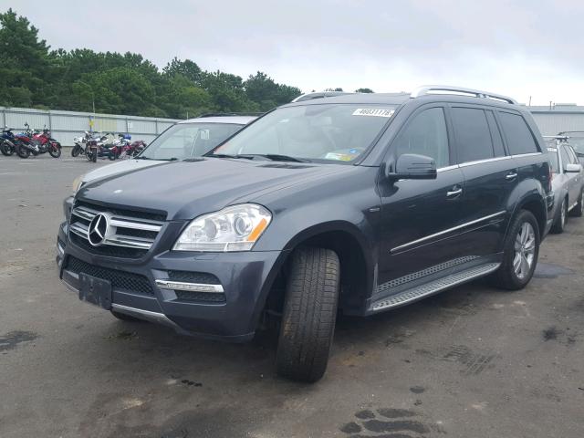 4JGBF2FE4BA631154 - 2011 MERCEDES-BENZ GL 350 BLU GRAY photo 2