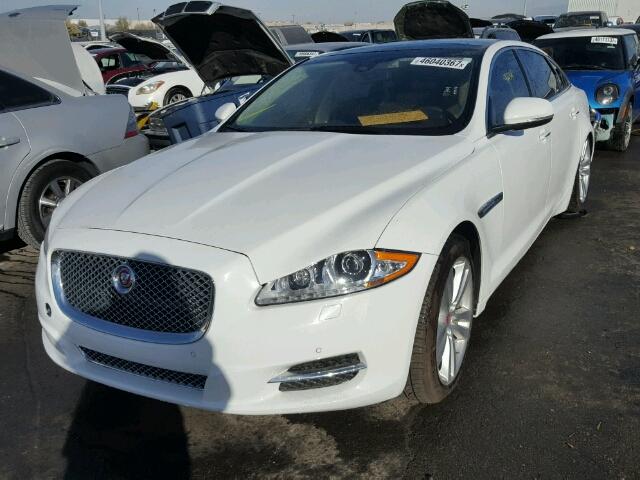 SAJWA2GZ7E8V69655 - 2014 JAGUAR XJL PORTFO WHITE photo 2