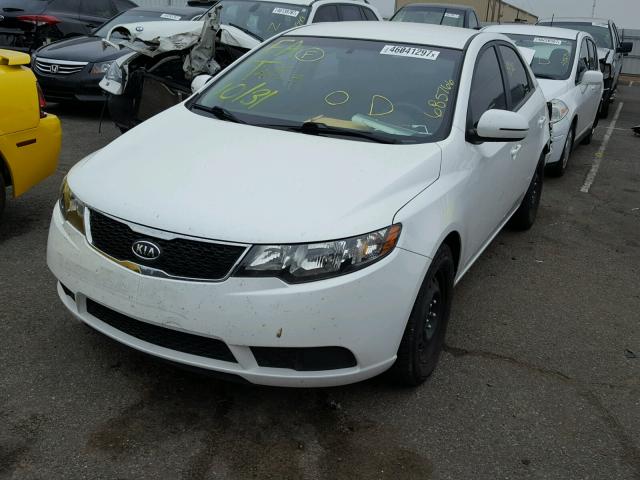 KNAFU4A21D5685766 - 2013 KIA FORTE WHITE photo 2