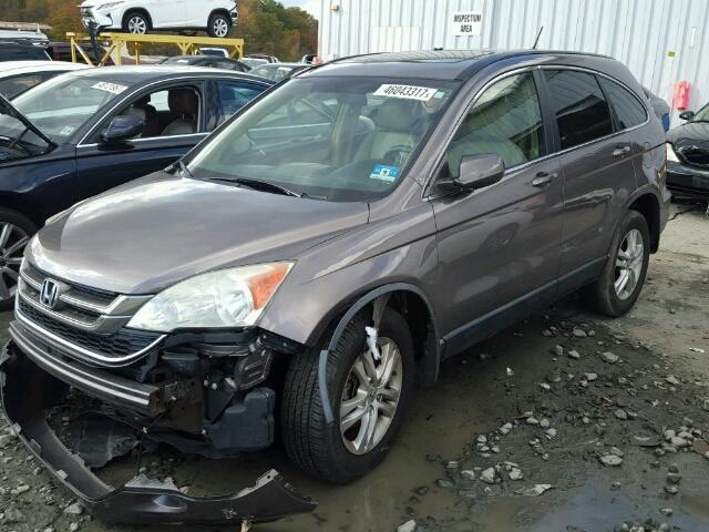 5J6RE4H72AL099612 - 2010 HONDA CR-V EXL BROWN photo 2