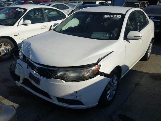 KNAFU4A24C5528361 - 2012 KIA FORTE EX WHITE photo 2