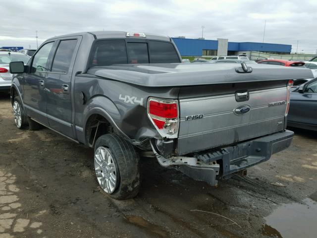 1FTFW1EV5AFB98625 - 2010 FORD F150 SUPER GRAY photo 3