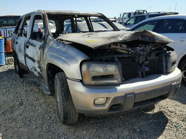 1GNDT13S322382289 - 2002 CHEVROLET TRAILBLAZE BROWN photo 1